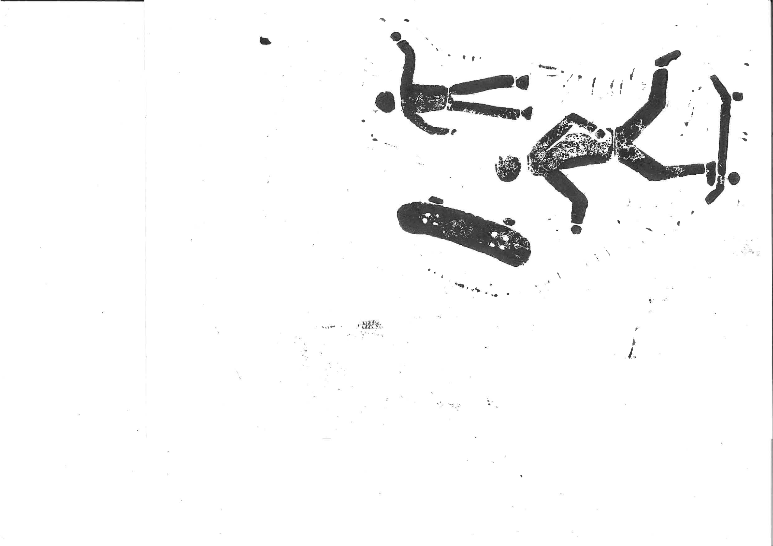 FiedaKnie Rollrevolution Linoldruck