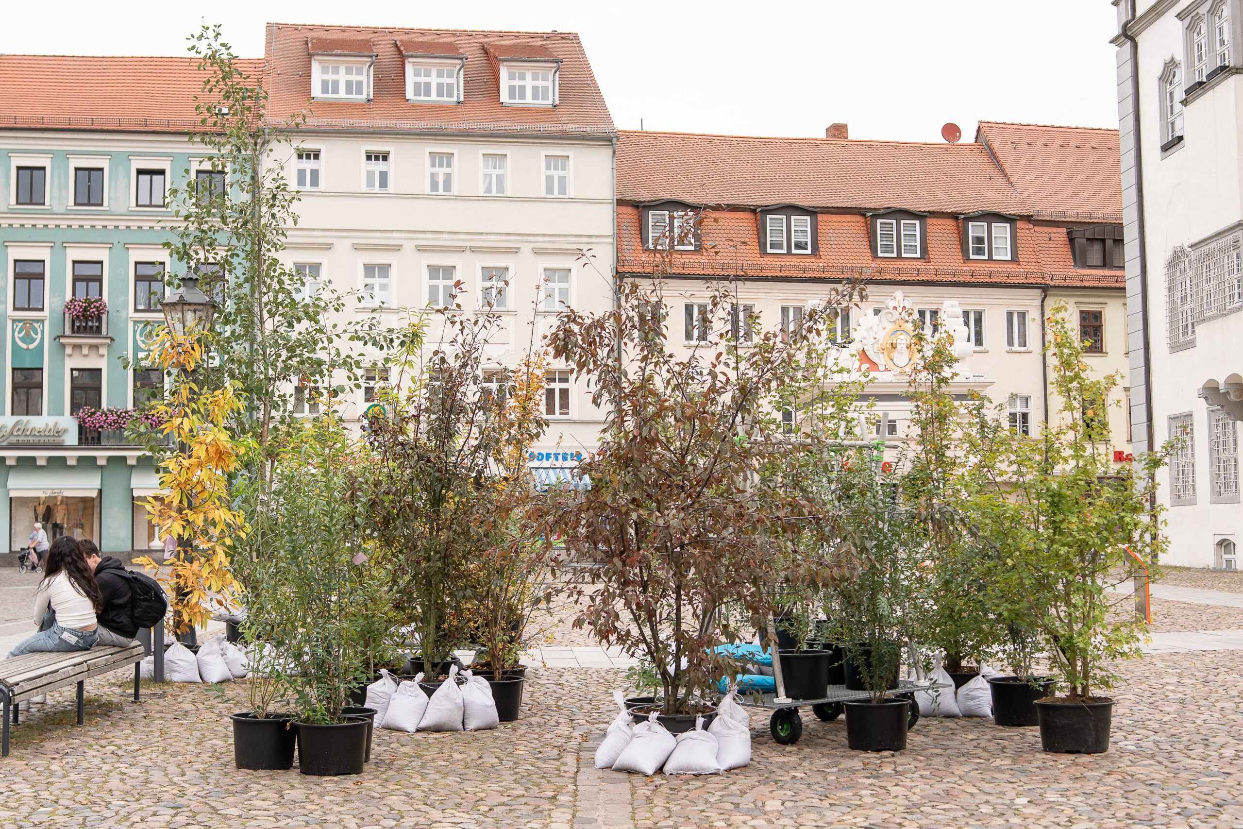 Wanderwald Markt GretaHientzsch