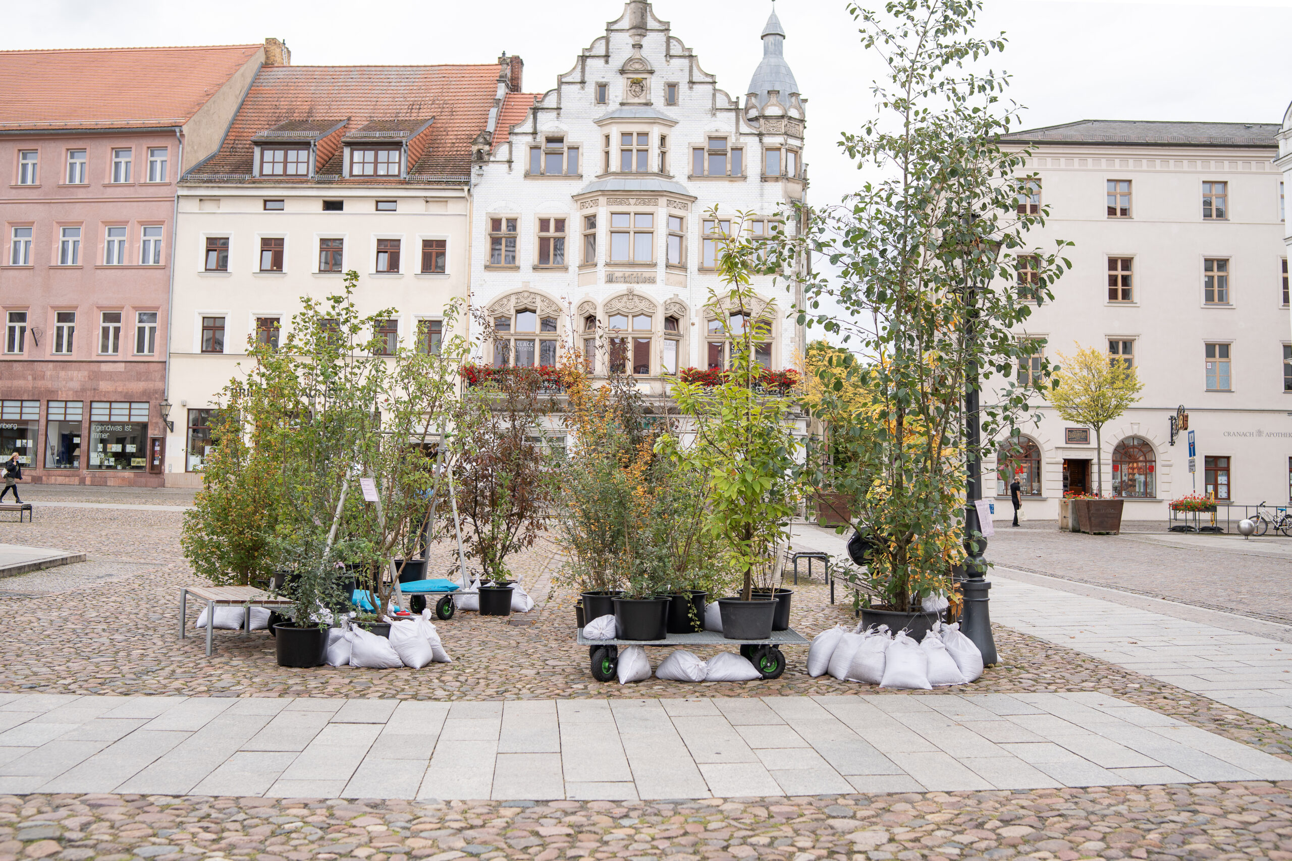 Wanderwald Markt GretaHientzsch