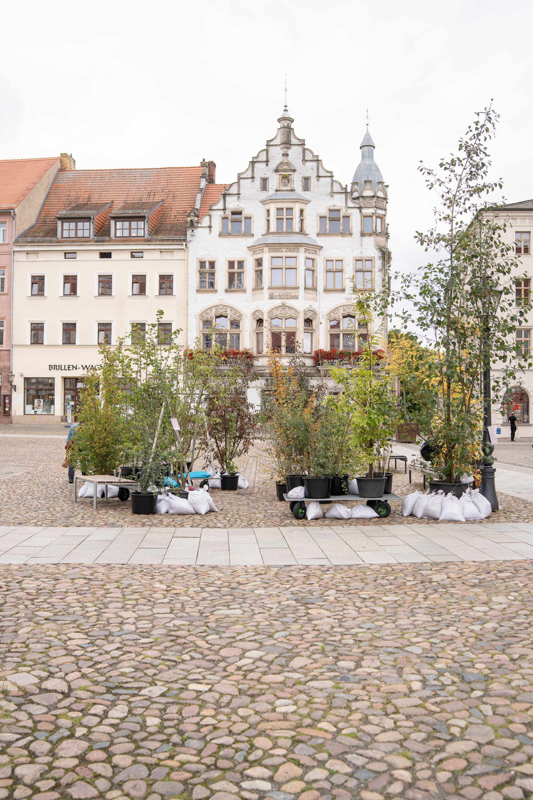 Wanderwald Markt GretaHientzsch