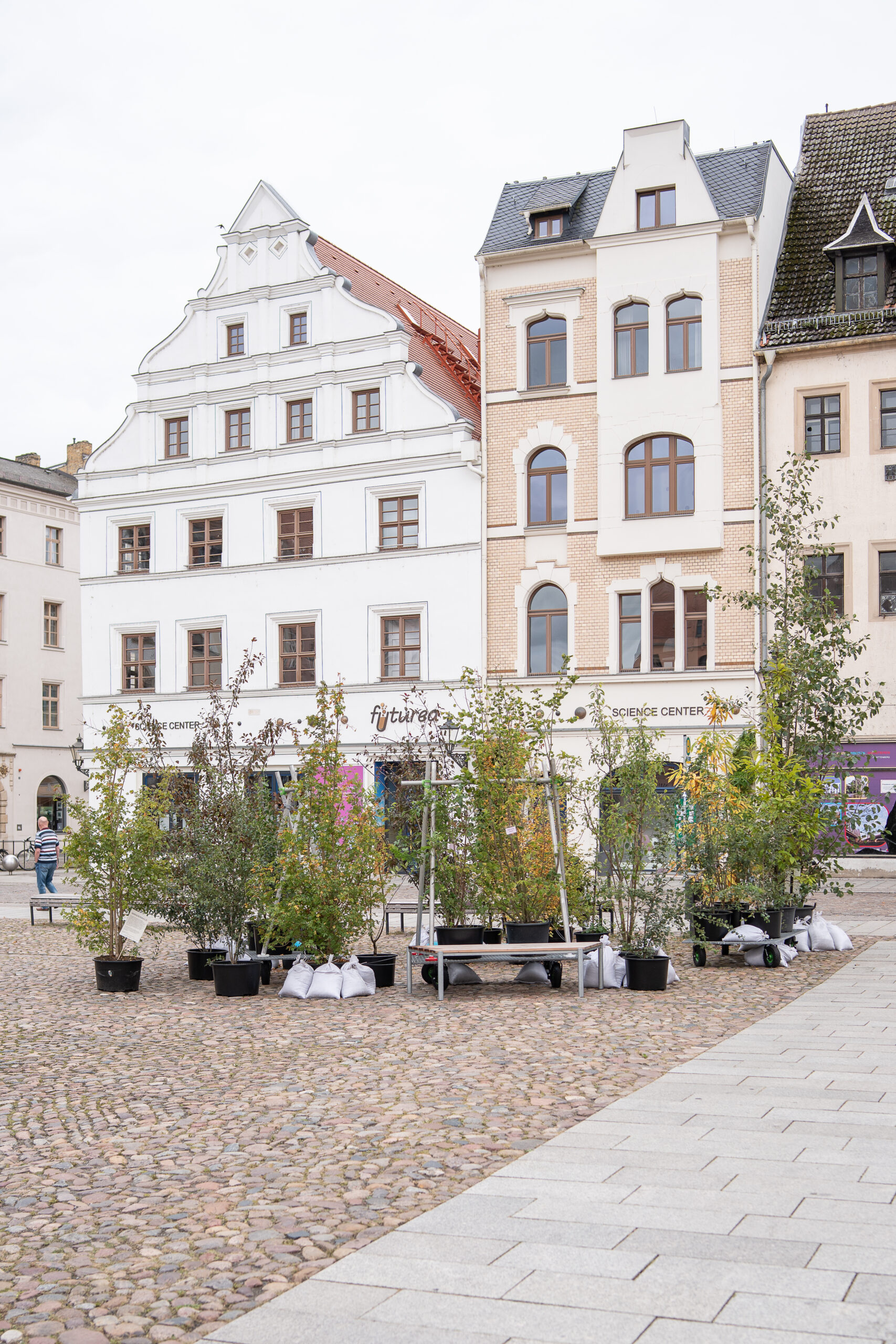 Wanderwald Markt GretaHientzsch