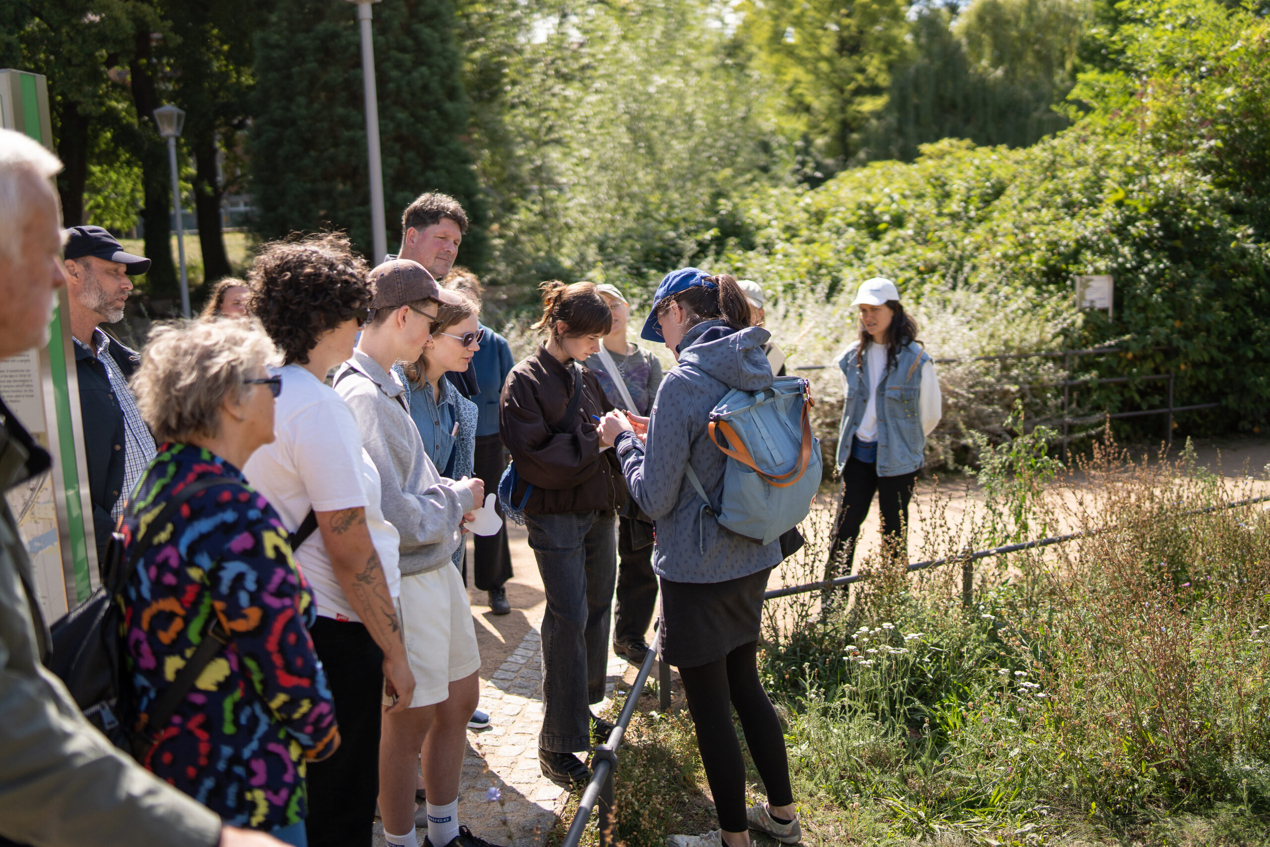 Wanderwald Umsetzung GretaHientzsch
