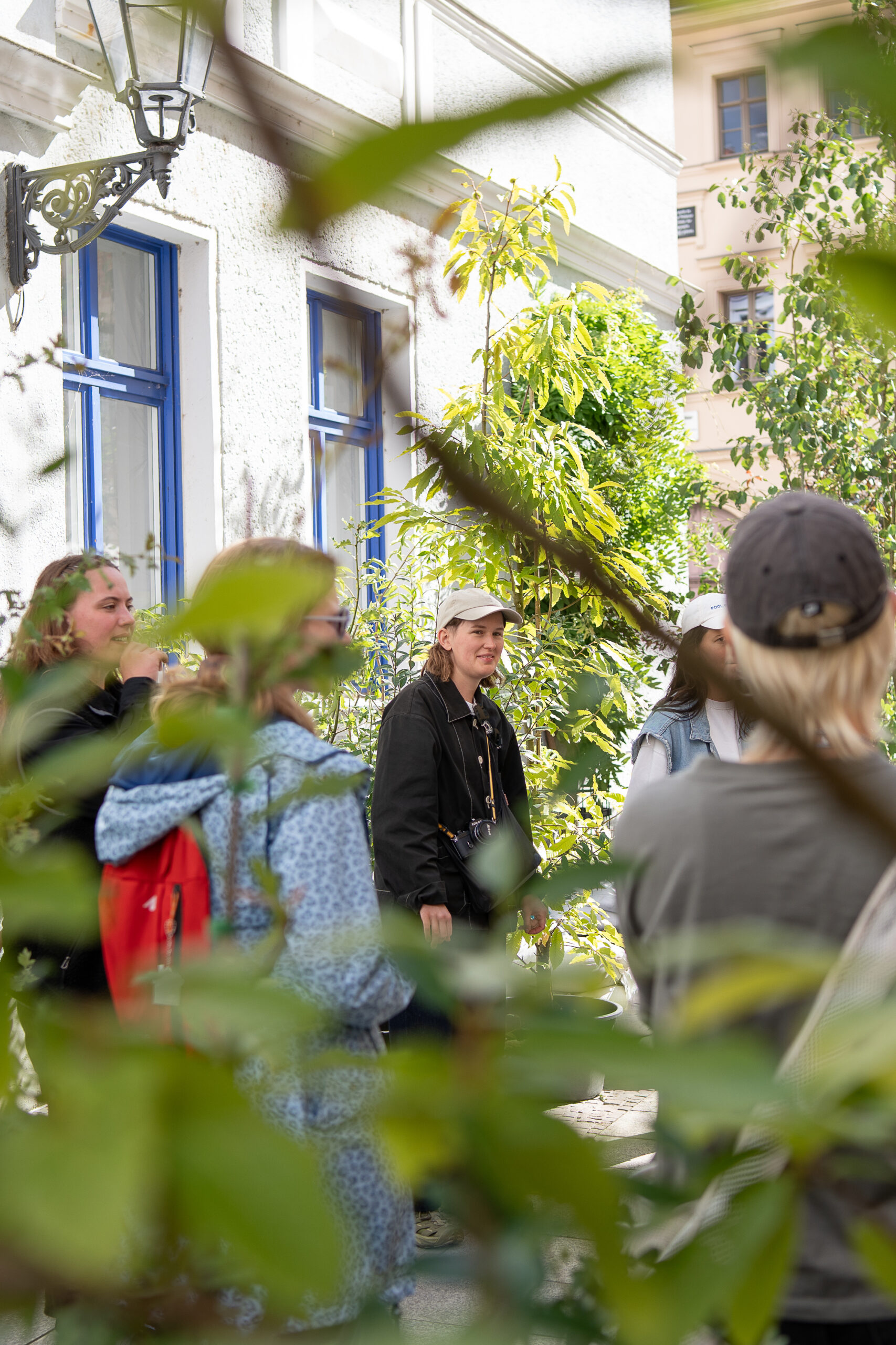 Wanderwald Umsetzung GretaHientzsch