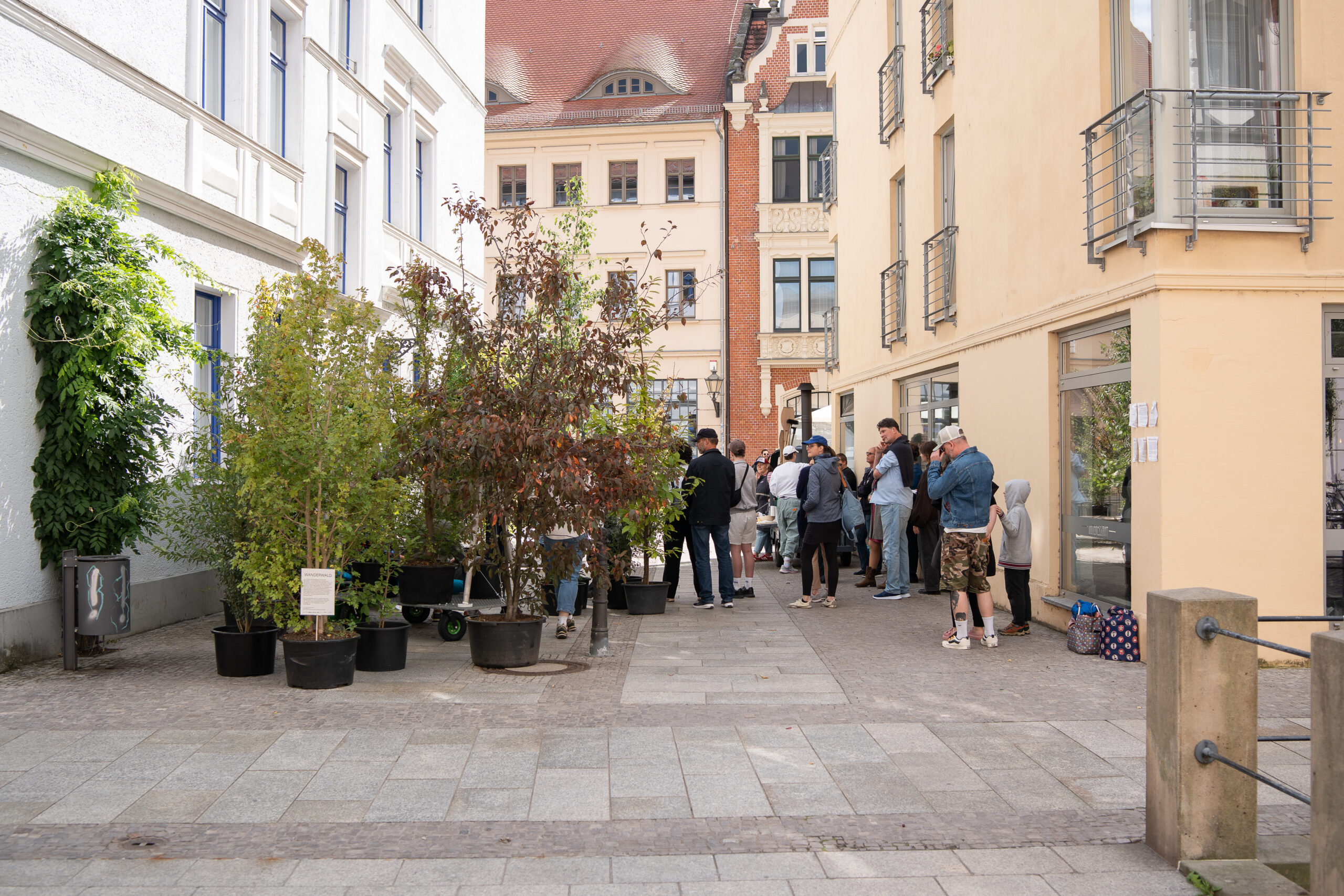 Wanderwald Umsetzung GretaHientzsch