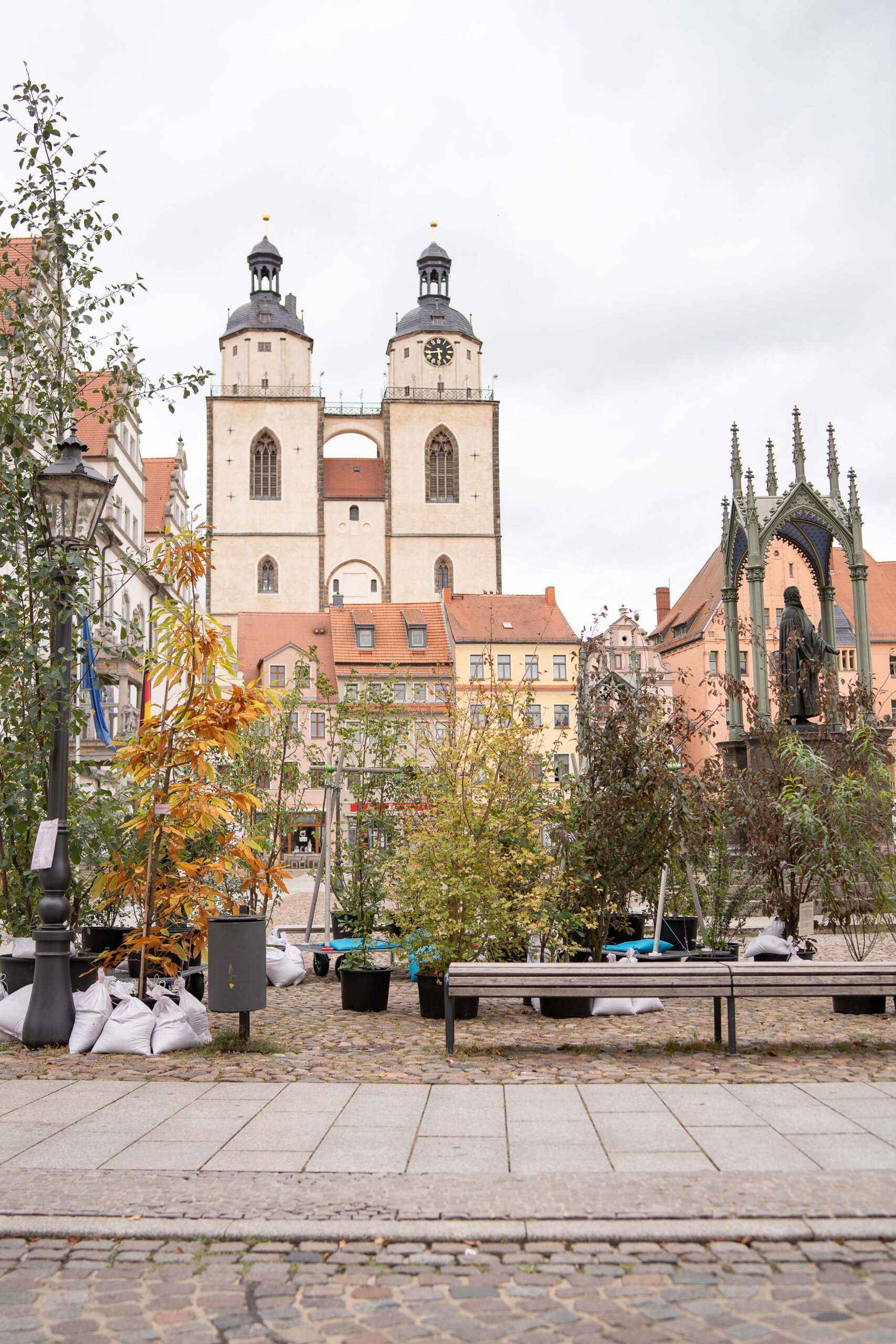 Wanderwald Umzug GretaHientzsch