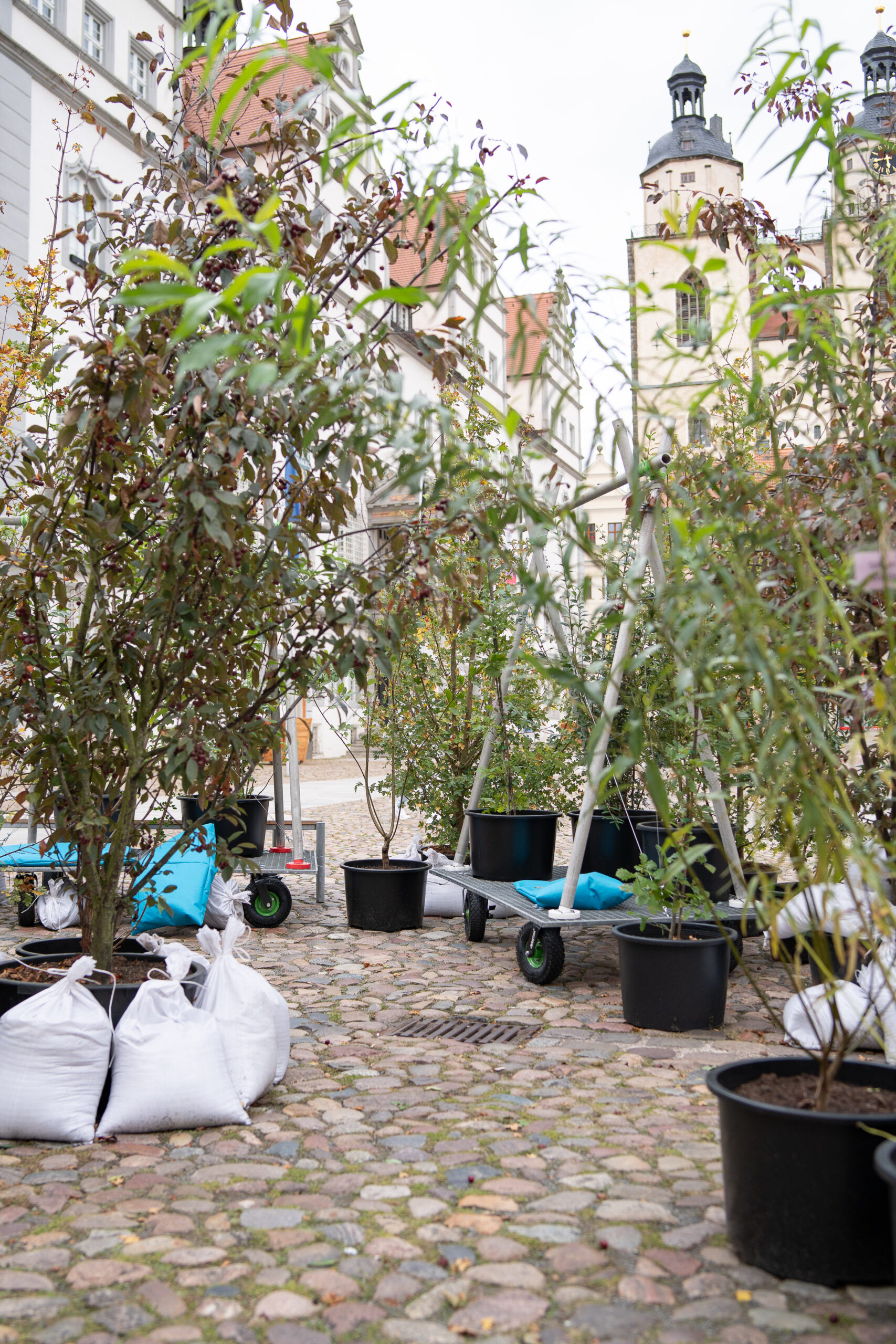 Wanderwald Umzug GretaHientzsch