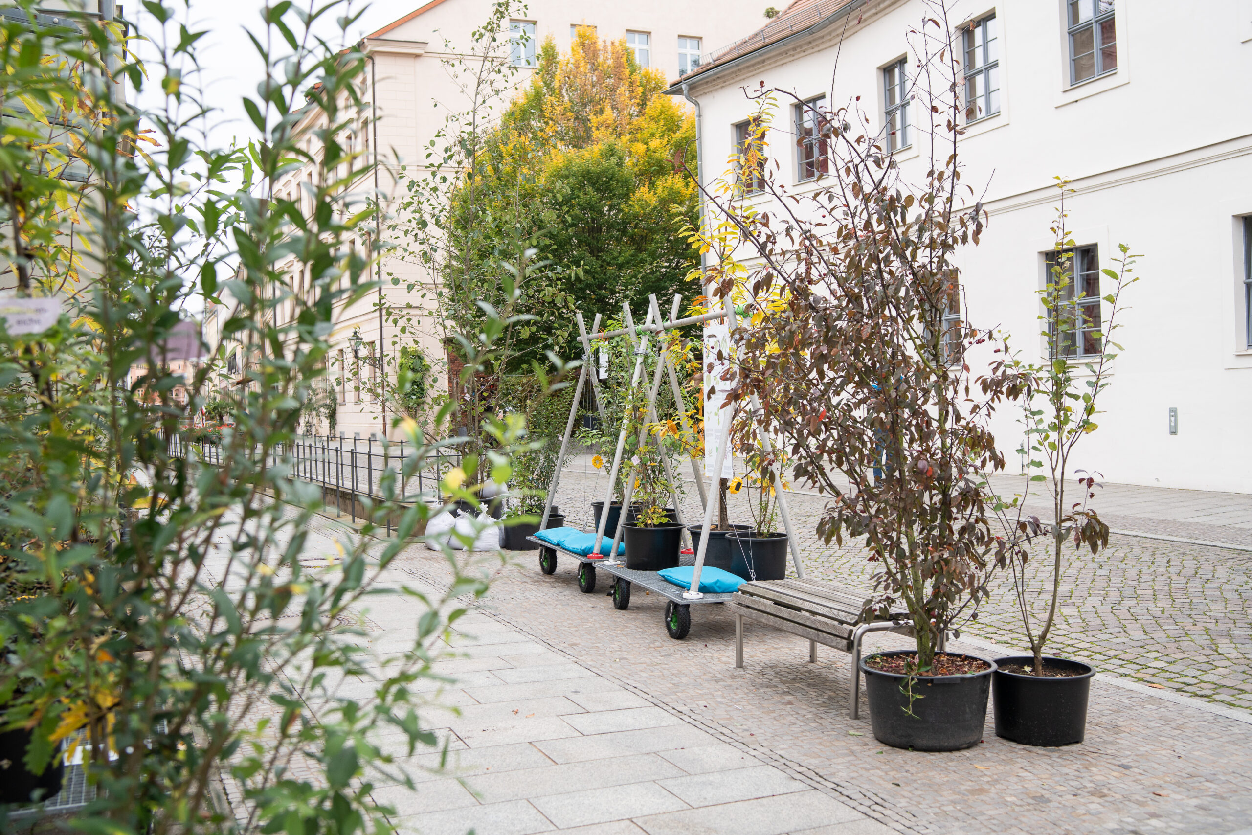 Wanderwald Greta Hientzsch17