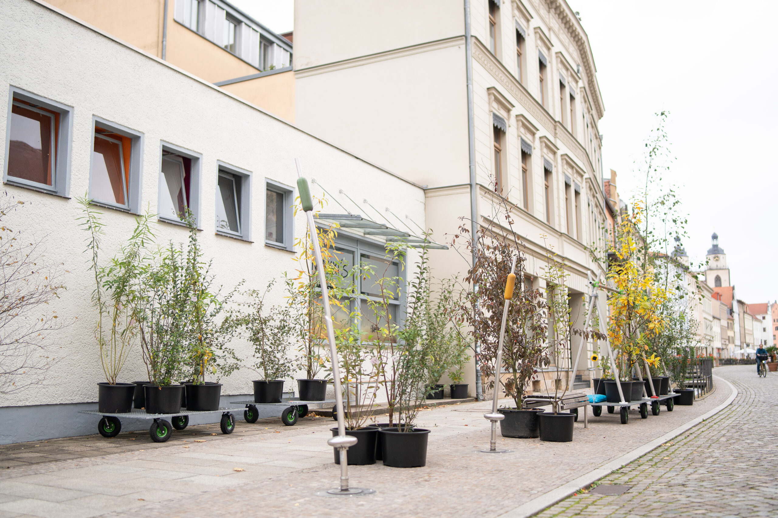 Wanderwald Greta Hientzsch18