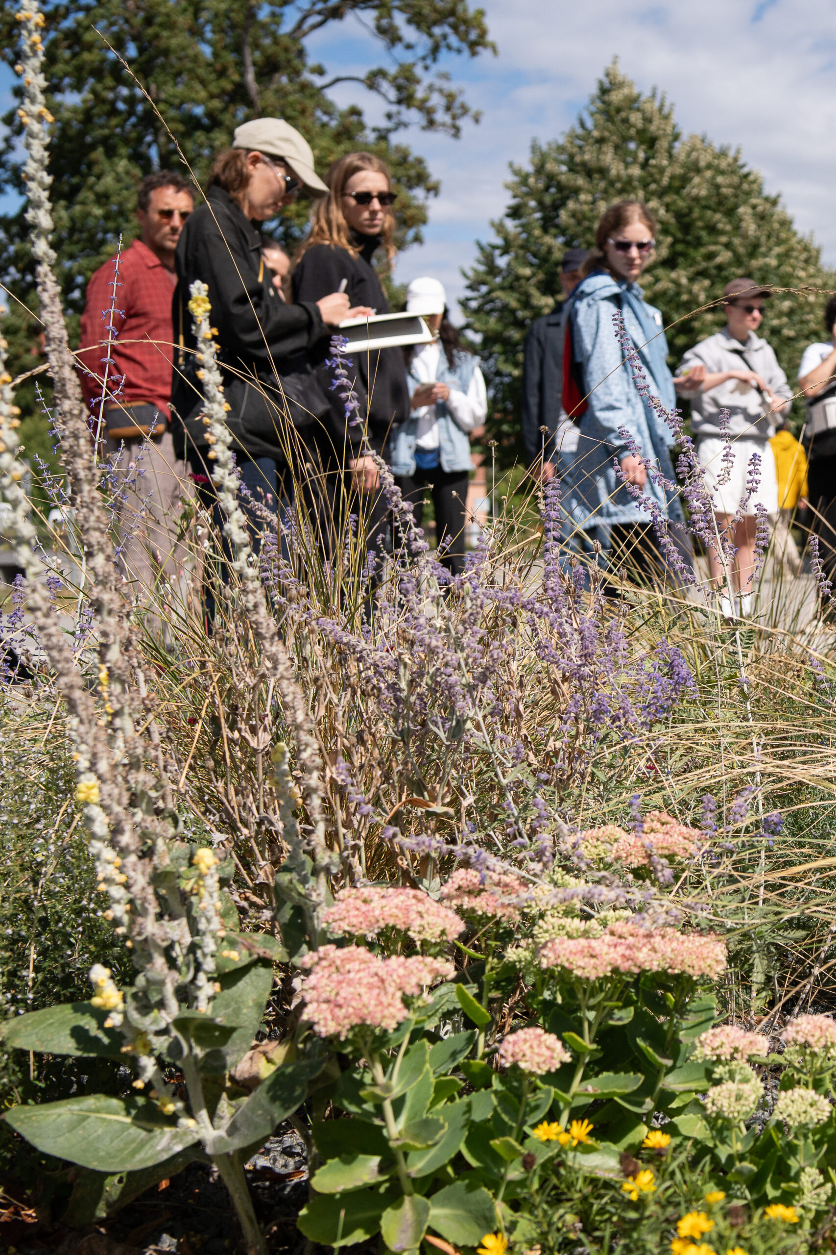 Wanderwald Greta Hientzsch24