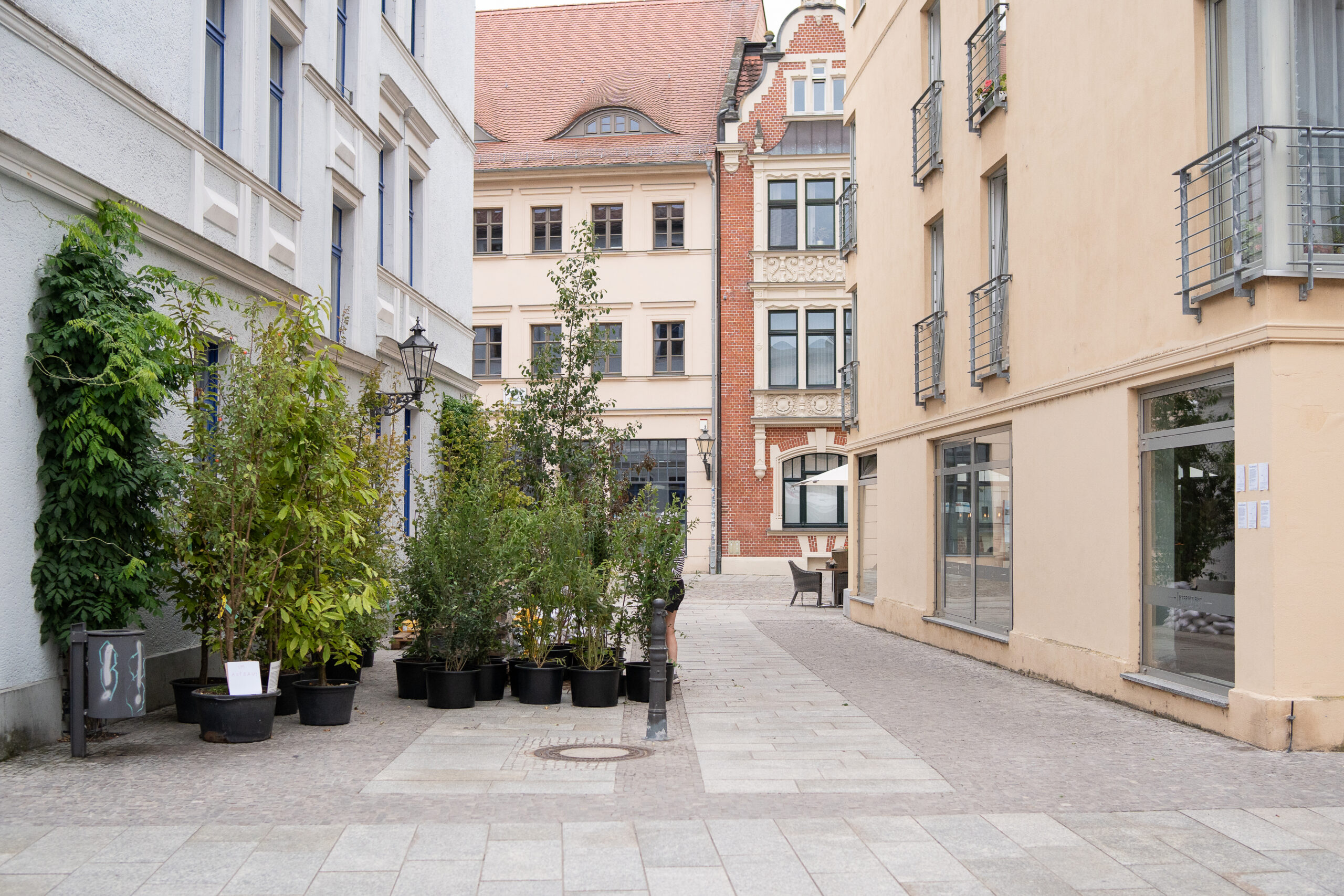 Wanderwald Greta Hientzsch26